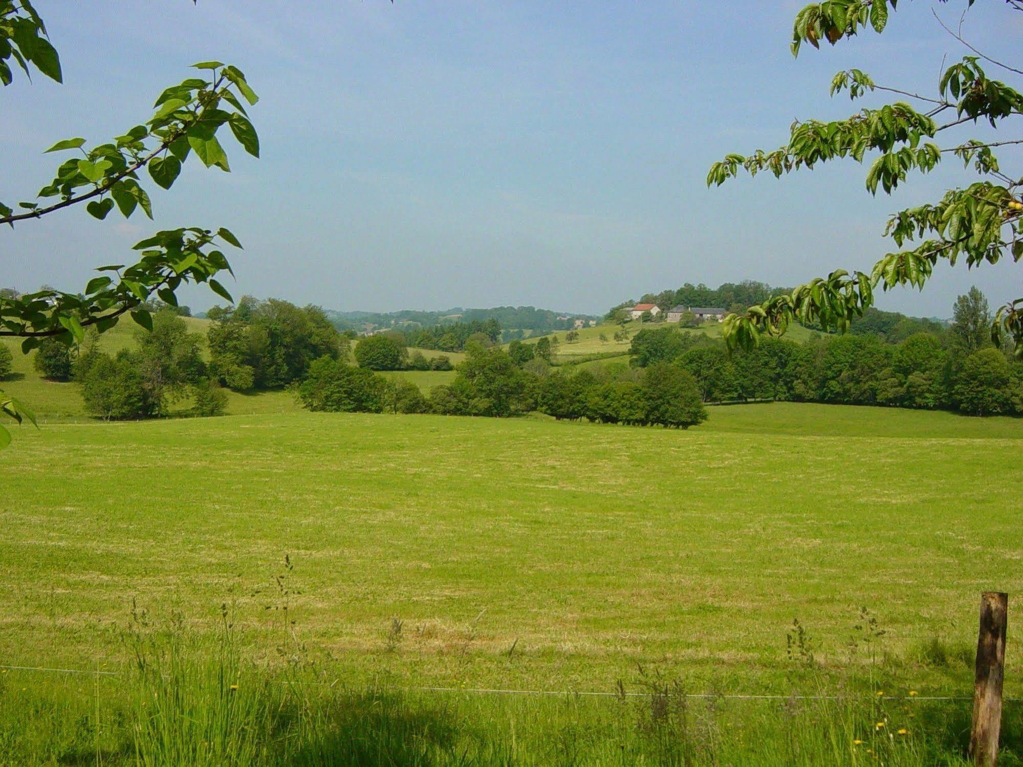 Domaine De La Clauzade Bed & Breakfast Saint-Germain-les-Vergnes Bagian luar foto